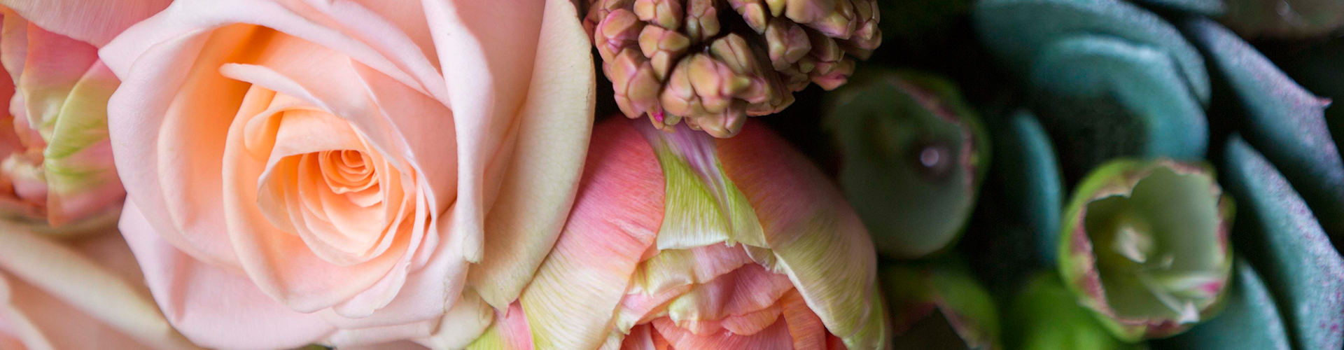 Close-up of pastel pink and peach roses alongside teal succulent leaves and small green buds, soft romantic floral mood.
